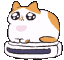 catSpinEmoji